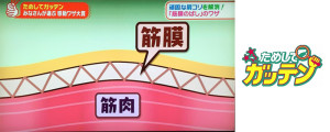 試してガッテン
